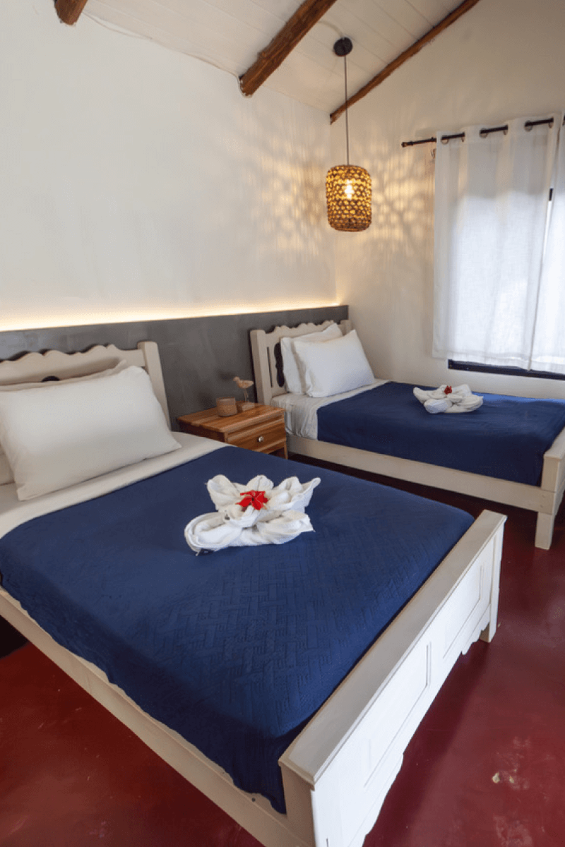 Deluxe Twin Room 1