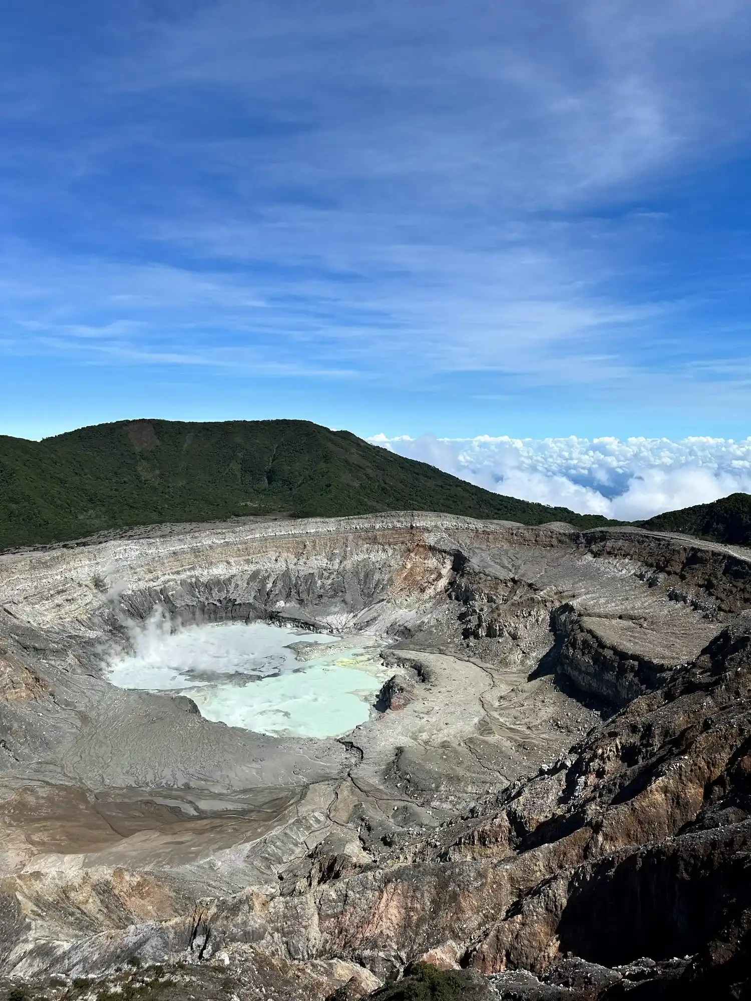 COSTA RICA 19-24 ENERO