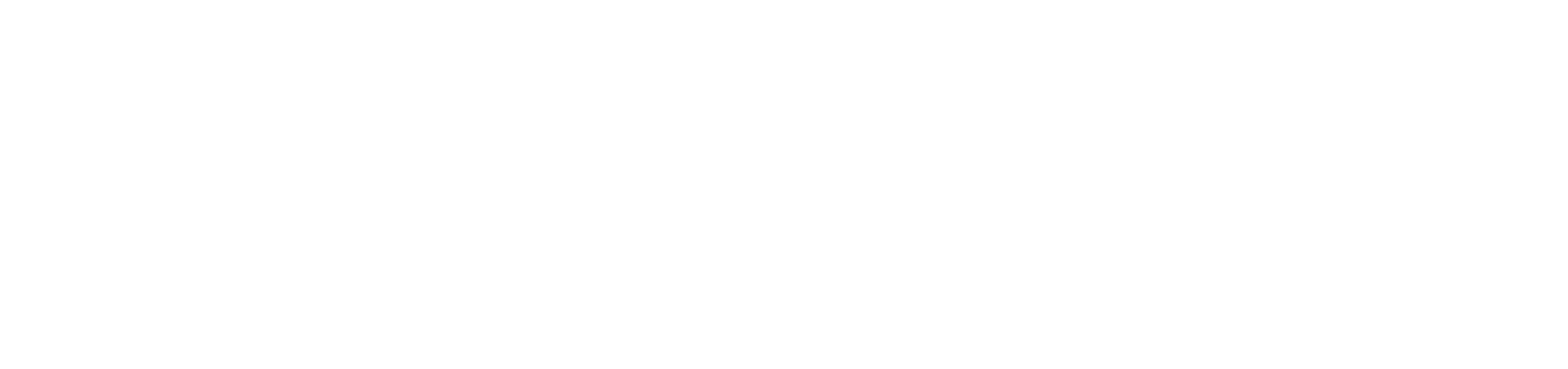 Revista Scaparate