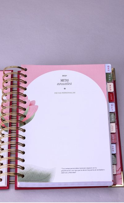 Metas anuales de la Agenda Inspírate 2027
