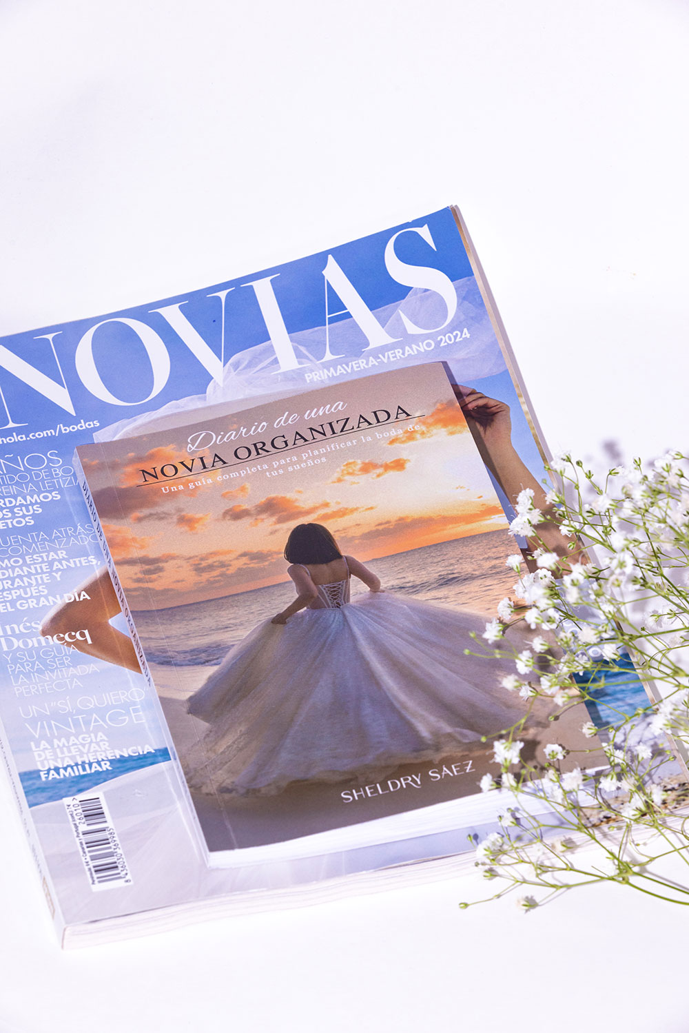 Diario de una Novia Organizada, detalle de la portada